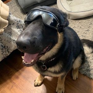 Meet your Posher, David